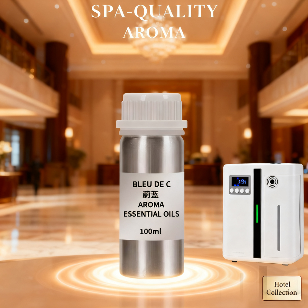 Home Fragrance Reed Diffuser - 100ml Hotel Essential Oil for Diffuser