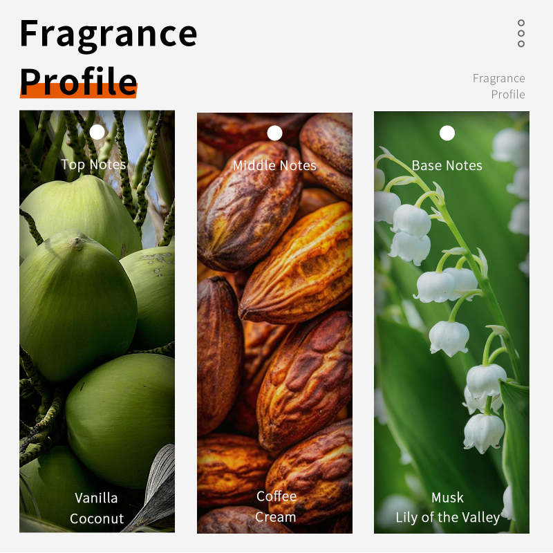 Coconut Vanilla Chocolate Milk - Home Fragrance Vanilla Musk review and price