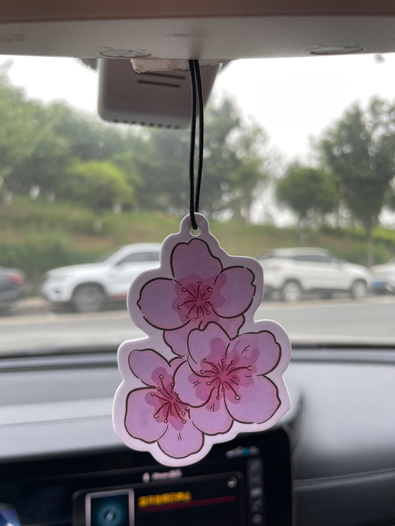 Sakura/Freesia Fresh Scent Fiv - Home Fragrance Non Toxic review and price