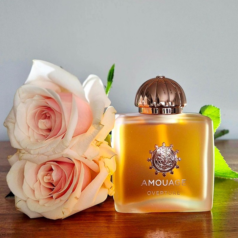 AMOUAGE Luxury Women Perfume 1 - Home Fragrance Vanilla Musk review and price