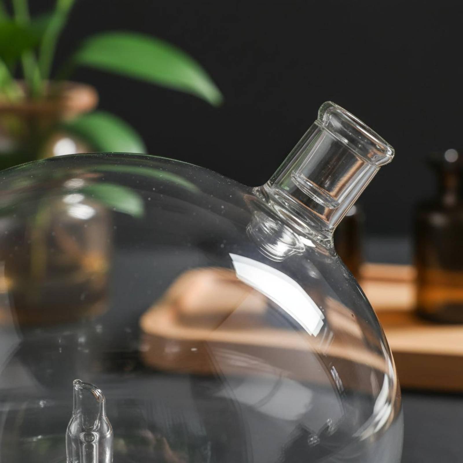 Diffuser Bottle Universal Fit  - Home And You Fragrance Diffuser review and price